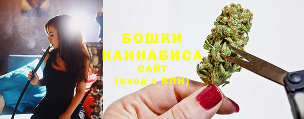 индика Баксан