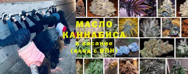 индика Баксан