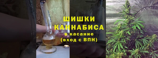 индика Баксан