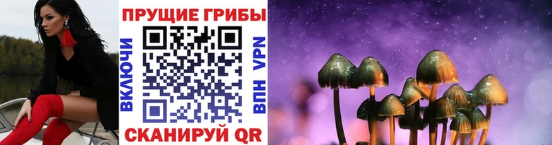 OMG ссылка Бобров Галлюциногенные грибы Psilocybe площадка Telegram хочу наркоту